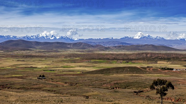 Extensive valleys in front of a high mountain range and deep blue sky, the Altiplano landscape in the Andes of Bolivia