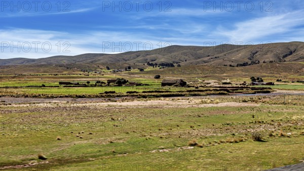 Wide, green pastures with hills in the background under a blue sky, the landscape of the Altiplano in the Andes of Bolivia