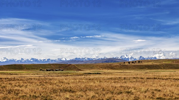 Endless fields against a mountainous backdrop under a blue sky, the Altiplano landscape in the Andes of Bolivia
