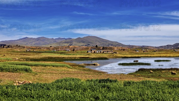 Wide landscape with a lake surrounded by meadows and small villages under a blue sky, The landscape of the Altiplano in the Andes of Bolivia