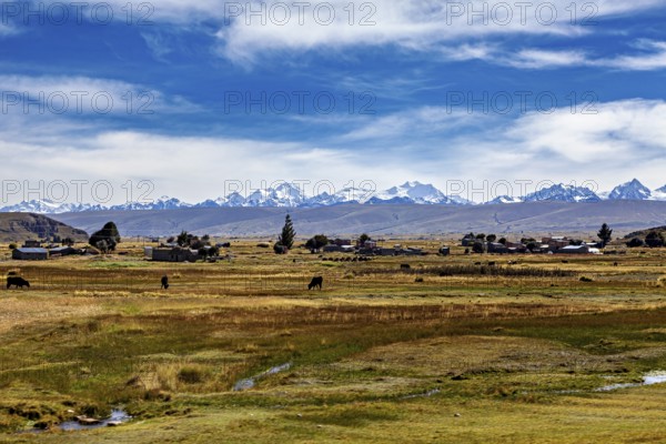 Landscape with snow-capped mountains in the background, village and fields in the foreground under blue sky, The landscape of the Altiplano in the Andes of Bolivia