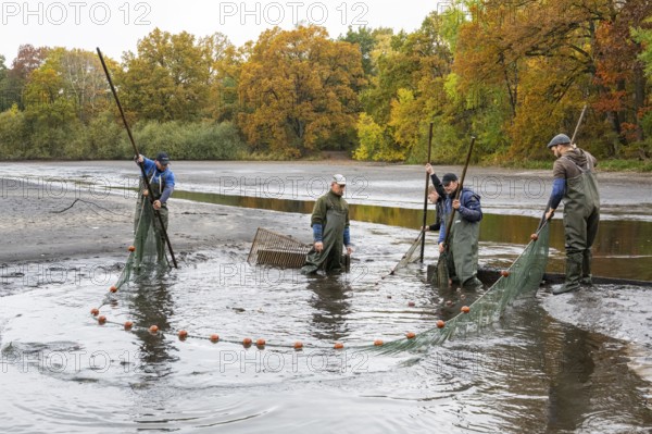 Fishing at Teichwirtschaft Ahlhorner Fischteiche, Ahlhorn, Lower Saxony, Germany