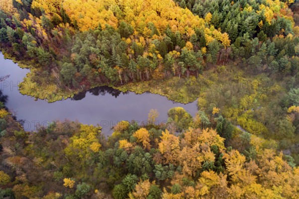 Lethe flows into the Lethetalsperre, Ahlhorner Fischteiche, Hoheging, Ahlhorn, Lower Saxony, Germany