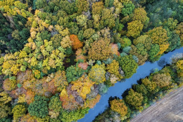 Autumn-colored trees on the Hunte, forest, aerial view, Westrittrum, Großenkneten, Lower Saxony, Germany