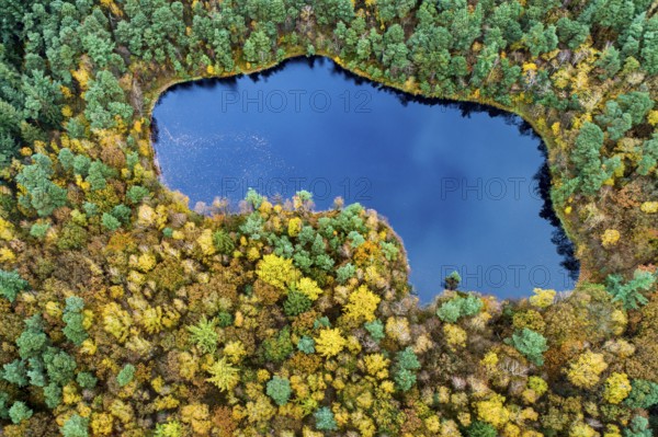 Diana See, Ahlhorner Fischteiche, Hoheging, Ahlhorn, Lower Saxony, Germany