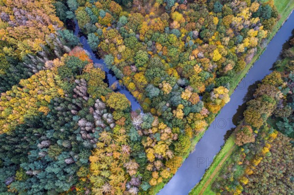 Autumn-colored trees on the Hunte, forest, autumn, Pestrup, aerial view, Wildeshausen, Lower Saxony, Germany