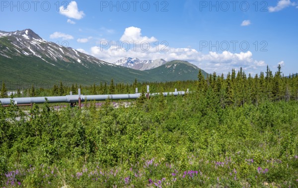 Alaska Pipeline Oil Pipeline, Alaska Range, Richardson Highway, Alaska, USA