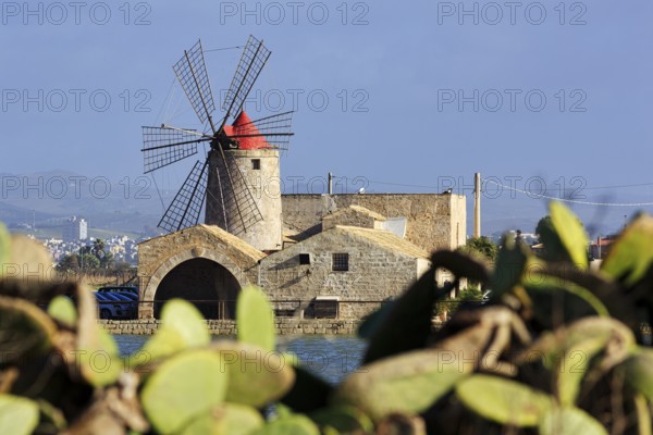 View through Opuntia of salt museum, traditional windmill, saltworks di Trapani and Paceco nature reserve, traditional salt production, Nubia, Trapani, salt route, Sicily, southern Italy, Italy