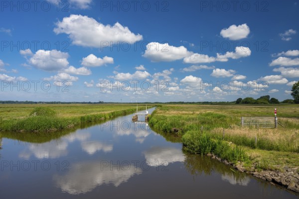 Trenches in the Bornhorster Huntewiesen nature reserve on the Hunte in the Wesermarsch, Oldenburg, Lower Saxony, Germany