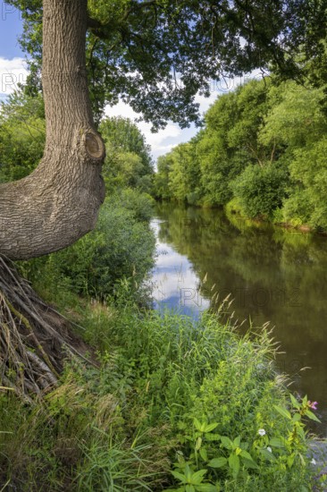 The course of the Hunte river near Oltmannsberg, Oltmannsberg, Dötlingen, Lower Saxony, Germany
