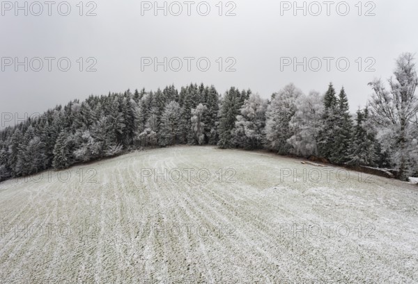 Winter landscape, forest covered with hoarfrost, Mondseeland, Salzkammergut, Upper Austria, Austria