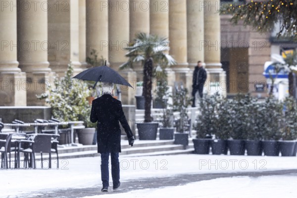 Winter in Stuttgart. There is a closed blanket of snow in the city center. Palm trees and other plants are covered with snow in front of the Königsbau on Schlossplatz. Stuttgart, Baden-Württemberg, Germany