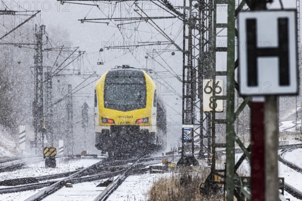 Regional train from Arverio on its way through a winter landscape in snowfall. The railcar train is painted by the Baden-Württemberg mobility brand bwegt. A train on the line in the Deutsche Bahn AG rail network. Amstetten, Baden-Württemberg, Germany