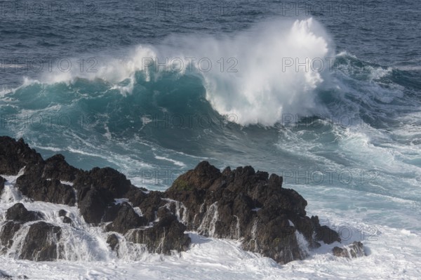 Waves on the ocean off Madeira, Porto Moniz, Madeira, Portugal