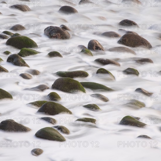 Stones in the foam of waves off Madeira, water, ocean, Jardim do Mar, Madeira, Portugal