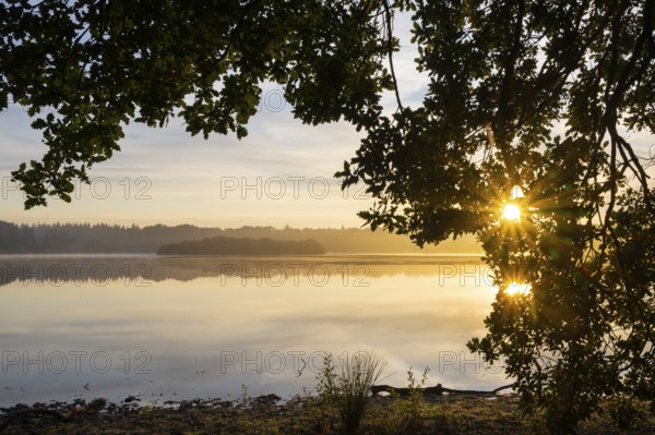 Ahlhonrer fishing pond with fog at daybreak, fog, sunrise, Ahlhorn, Lower Saxony, Germany