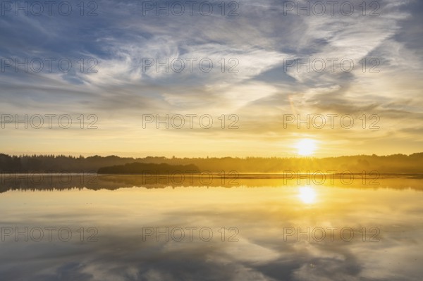 Ahlhonrer fish pond with fog at daybreak, fog, reeds, sunrise, Ahlhorn, Lower Saxony, Germany