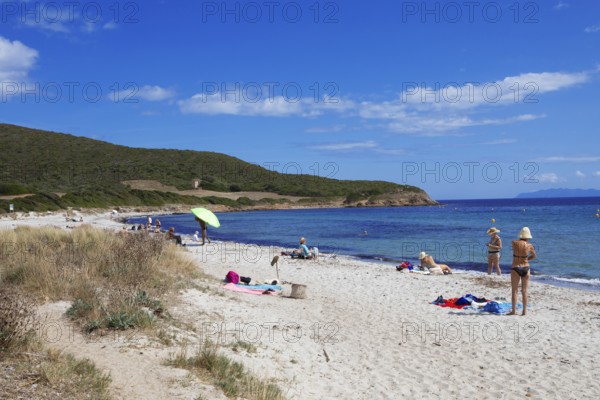 Plage de Tamarone sandy beach, Cap Corse, Haute-Corse Department, Corsica, Mediterranean Sea, France