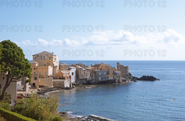 Erbalunga fishing village, Cap Corse, Haute-Corse Department, Corsica, Mediterranean Sea, France