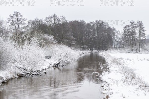 Winter landscape on the Ems, Emsland, Lower Saxony, Germany