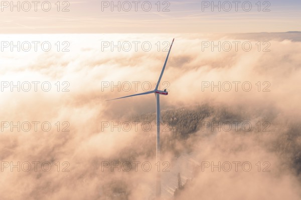 Single wind turbine rising from foggy sea, surrounded by morning light, Bad Wildbad, Calw district, Black Forest, Germany