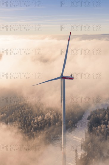 Large wind turbine in a foggy tree landscape, caught in a golden evening mood, Bad Wildbad, Calw district, Black Forest, Germany