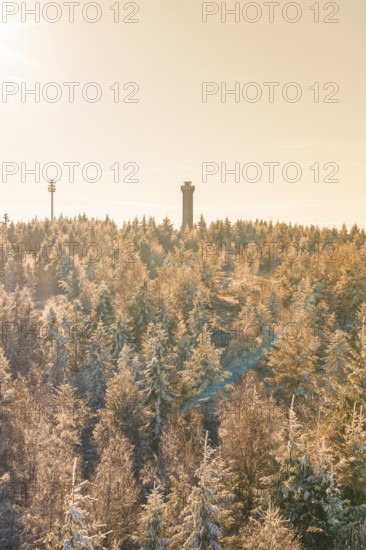 A wintery afternoon shot of a snowy forest with tower, Holohturm, Gernsbach, Rastatt district, Germany