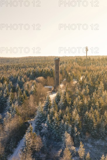 A snowy forest with a tower and sunlight penetrating through the trees, Holohturm, Gernsbach, Rastatt district, Germany