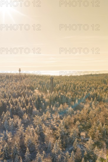 Landscape view of a snow-covered forest with tower in the morning sun, Holohturm, Gernsbach, Rastatt district, Germany