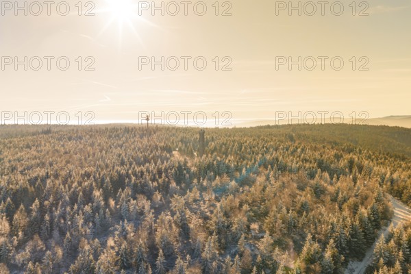 A wide winter forest with sunbeams and a tower in the distance, Holohturm, Gernsbach, Rastatt district, Germany
