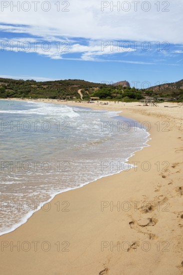 Plage d'Arone sandy beach, Capo Rosso and the Genoese Tower in the back, Piana, Corse-du-Sud department, west coast, Corsica, Mediterranean, France