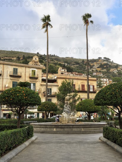 Tall palm trees, central fountain, hedges and orange trees, Piazza Vittorio Emanuele, Monreale, Sicily, southern Italy, Italy