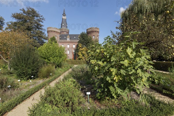 Historischer Kräutergarten, Parkanlage Museum Schloss Moyland, Bedburg-Hau, Lower Rhine, North Rhine-Westphalia, Germany