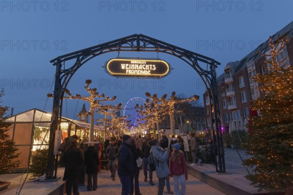 Christmas market in Düsseldorf's old town, Roncalli's Christmas promenade, evening, Düsseldorf, North Rhine-Westphalia, Germany