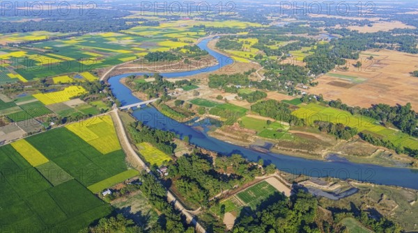 An aerial view reveals a gently curving river winding through the countryside, its silvery surface tracing a natural boundary between fields. On both banks, patchwork farmland stretches outward in neat, geometric plots, where mustard crops are in full bloom, creating broad swathes of bright yellow that contrast with surrounding greens and earthy browns. Narrow dirt paths and irrigation channels divide the fields, reflecting traditional agricultural patterns shaped by the river's seasonal flow. Scattered trees and small rural settlements dot the landscape, adding scale and context, while the overall scene highlights the harmony between the river, fertile soil, and winter agriculture in rural India