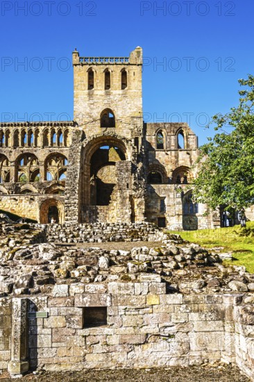 Jedburgh Abbey, Augustinian Abbey, Jedburgh, Scottish Borders, Scotland, UK