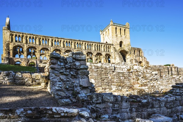 Jedburgh Abbey, Augustinian Abbey, Jedburgh, Scottish Borders, Scotland, UK