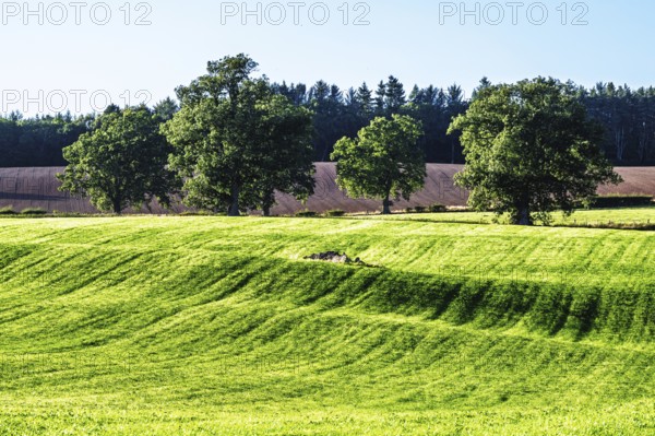 Scottish fields and farms, Southeast Scotland, UK