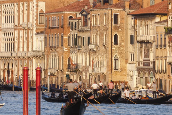 Gondolas and palaces on the Grand Canal, Venice, Veneto, Italy
