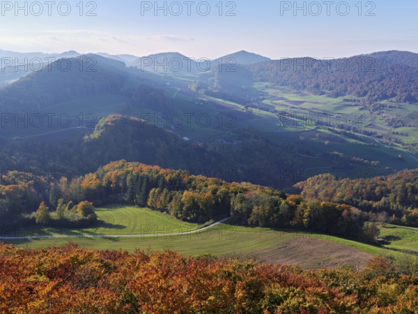 View of an autumnal forest from the Gisliflue, behind the Jurassic foothills with the Wasserfluh, Talheim, Canton, Aargau, Switzerland