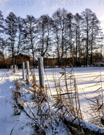 Winter landscape, fields and fields in Berlin Lübars, a village in Berlin Reinickendorf, Germany
