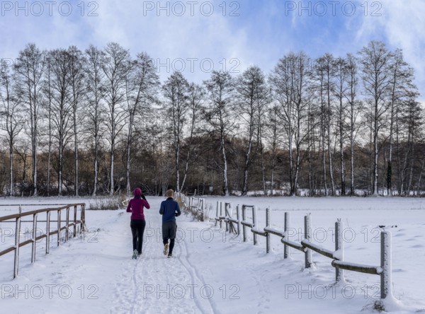 Athletes in winter in the midst of fields and fields in Berlin Lübars, Reinickendorf District, Germany