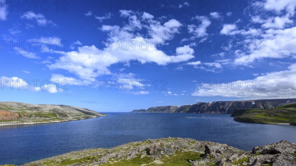 Green meadows on the banks of Syltefjord with clouds in the blue sky, landscape with a lake and green meadows under a cloudy sky, Nordfjord, Båtsfjord, Finnmark, Norway
