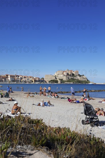 Calvi beach, back the citadel, Balagne, Haute-Corse department, Corsica, France