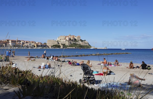 Calvi beach, back the citadel, Balagne, Haute-Corse department, Corsica, France