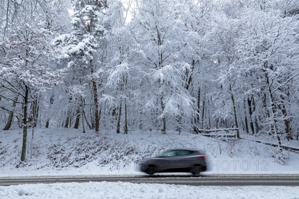 Car driving through snowy landscape, trees, winter, snow, Sieversen, Samtgemeinde Rosengarten, Lower Saxony, Germany