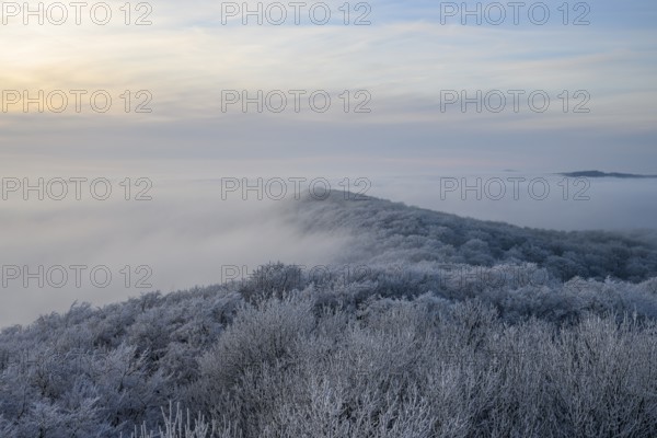 Snowy range of hills with frosty trees in the morning light, Hermannsweg an der Steinegge, Dissen am Teutoburger Wald, Lower Saxony, Germany