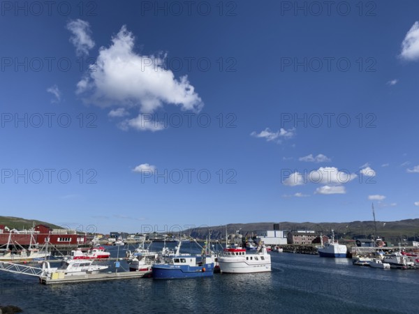 Several fishing boats in Batsfjord harbour, blue sky, mountains in the background, sunny day, Båtsfjord, Finnmark, Norway