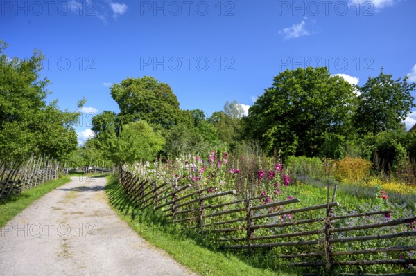 A path along the colorful cottage garden of the famous botanist and taxonomist Carl von Linne with a rustic wooden fence under a blue sky, Linnes Rashult, Rashult, Diö, Kronobergs län, Sweden