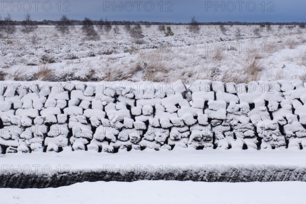Peat cut in sod in a wintry moor, Goldenstedt, Lower Saxony, Germany